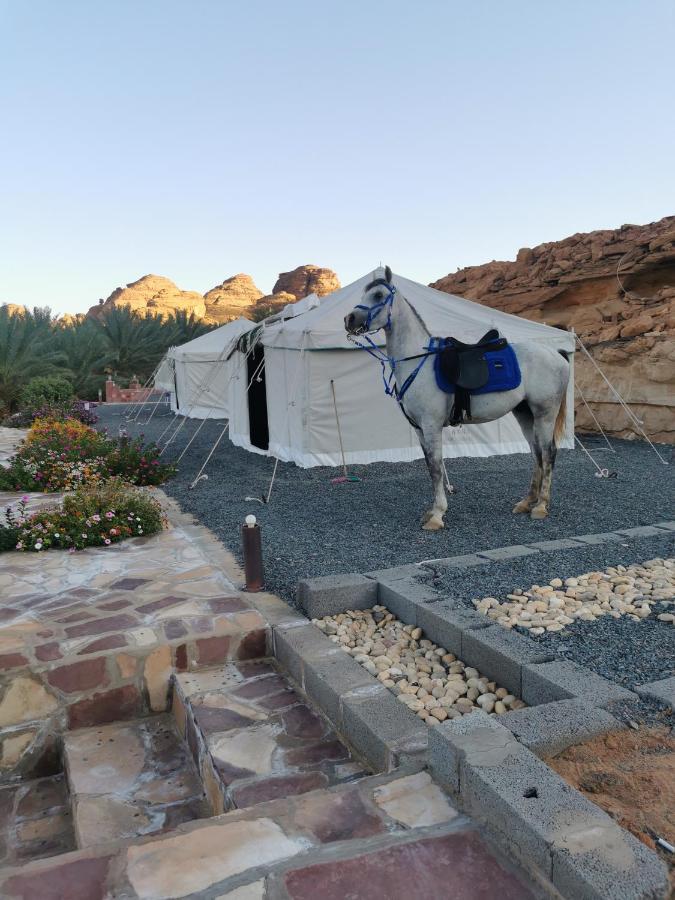Rural Tents Naseem الخيمةالريفيةalouzaib Al-`Ula Eksteriør billede