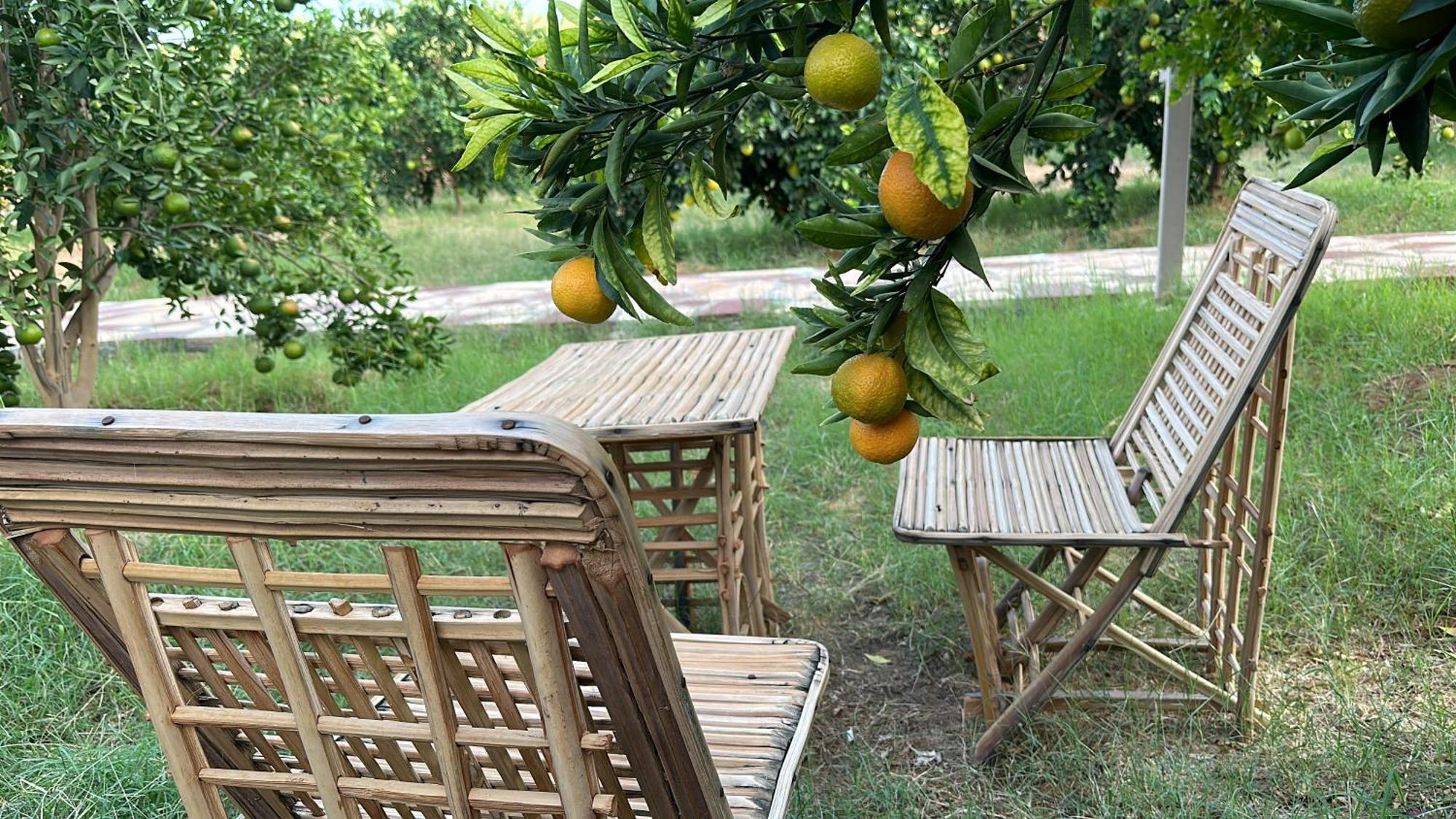 Rural Tents Naseem الخيمةالريفيةalouzaib Al-`Ula Eksteriør billede